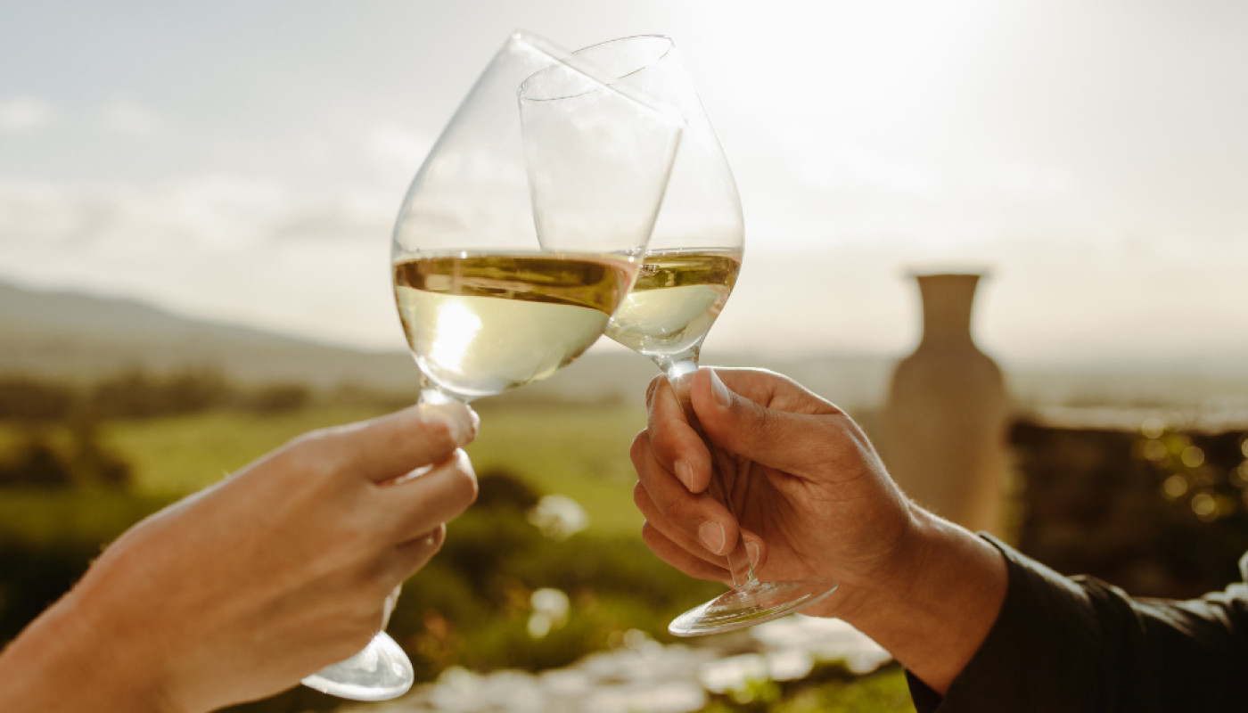 Envie de changer de vin blanc ? Découvrez les Gros Manseng du Château Labastide Orliac !